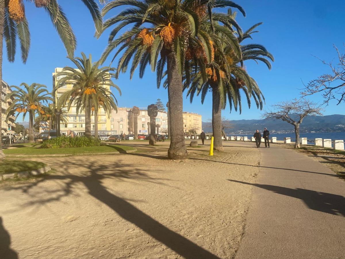 2 Pieces / Neuf - Ajaccio Centre - Place Miot / Albert 1Er 外观 照片